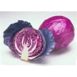 Photo of Cabbage Red 1/2