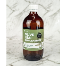 Photo of Probiotic Foods - Fermented Olive & Moringa Leaf -