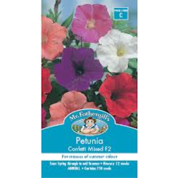 Photo of Petunia Confetti Mixed