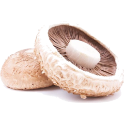 Photo of Mushrooms Flat