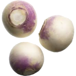 Photo of Turnips White