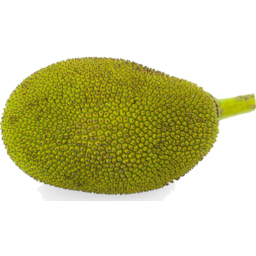 Photo of Jack Fruit Green Cooking Whole