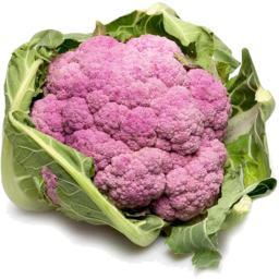 Photo of Cauliflower - Purple