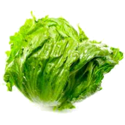 Photo of Lettuce Iceberg /Ea