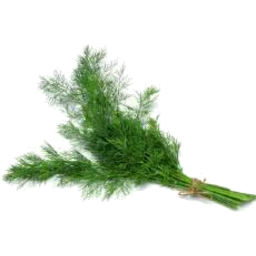 Photo of Dill 20g