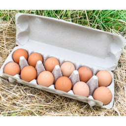 Photo of HOSKINGS FAMILY FARM Eggs Organic Pasture Raised 600g