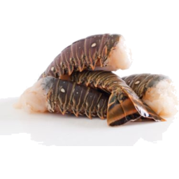 Photo of Bcf Lobster Tail Raw