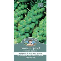 Photo of Seed Brussl Sprout Eve Spec C