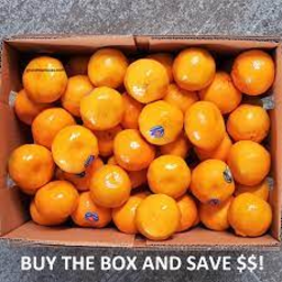 Photo of Box Mandarines Imperial