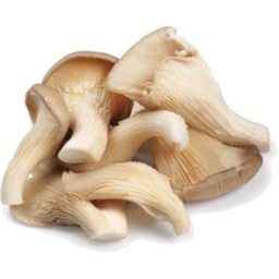Photo of Oyster Mushrooms 250g