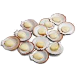 Photo of Scallops Half Shell Ea