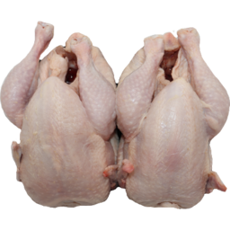 Photo of 2 Chicken