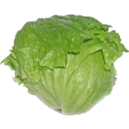 Photo of Iceberg Lettuce each