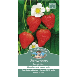 Photo of Mr Fothergill’S Temptation Strawberry Seeds