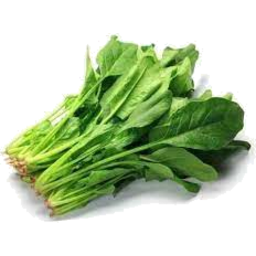 Photo of Spinach English