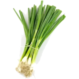 Photo of Onions Spring