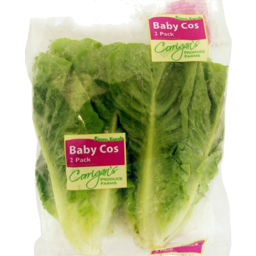 Photo of Lettuce Cos Baby Pack