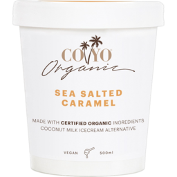 Photo of Coyo Organic Sea Salted Caramel Coconut Milk Ice Cream Alternative