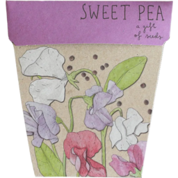 Photo of Sow n' Sow Gift of Seeds - Sweet Pea