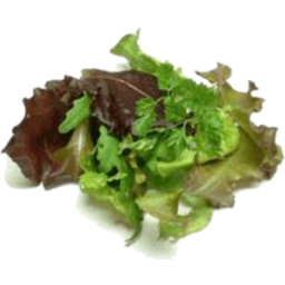 Photo of Lettuce Mix