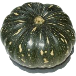 Photo of Jap Pumpkin Organic Whole Kg