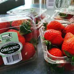 Photo of Strawberries Handasyde 250g