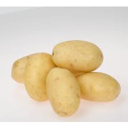 Photo of White Table Potato