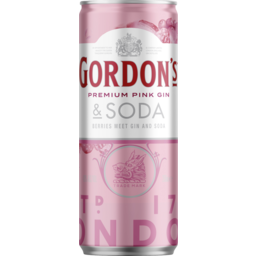 Photo of Gordons Pink & Soda Can