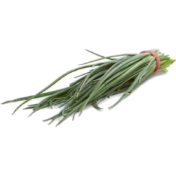 Photo of Chives