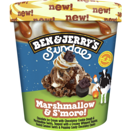 Photo of Ben & Jerry’S Ice Cream Marshmallow & S’More Sundae