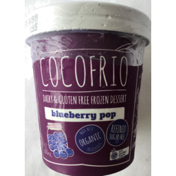 Photo of Coco Frio Ice Cream Blueberry Gluten Free Dairy Free 500ml