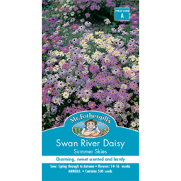 Photo of Mr Fothergills Seeds Swan River Daisy S/Sky A