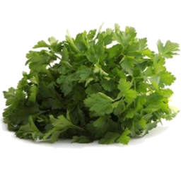 Photo of Fresh Herbs - Coriander Punnet