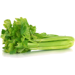 Photo of Celery Half Bunch