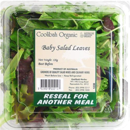 Photo of Organic Salad Mix Punnet