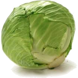 Photo of Cabbage Plain Whole Each