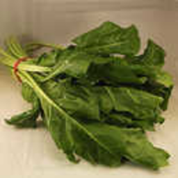 Photo of Spinach Large Bunch