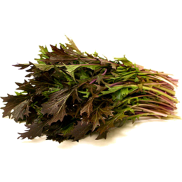 Photo of YORKTOWN Mizuna Red Microgreens Salad 100g