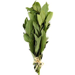 Photo of Herb Bay Leaf Bunch Organic