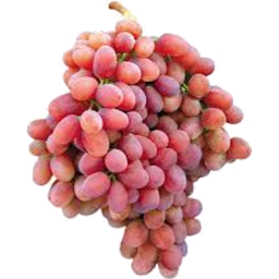 Photo of Grapes Red Seedless Kg