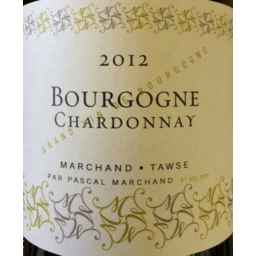 Photo of Pascal Marchand Tawse Bourgogne Chardonnay