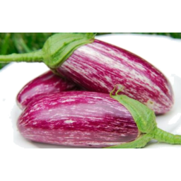 Photo of Eggplant Purple Kg