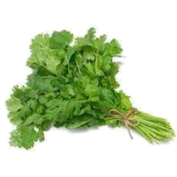Photo of Fresh Herbs Coriander 30g