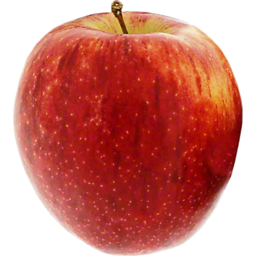 Photo of Apples Envy Kg
