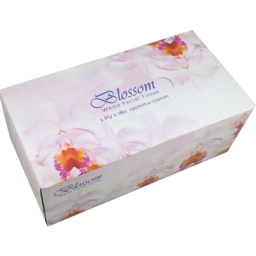 Photo of Blossom Delight Facial Tissues 180pk Carton