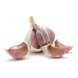 Photo of Chinese Garlic