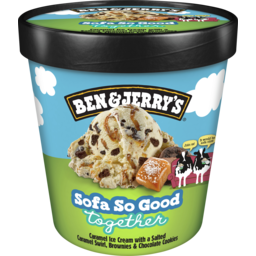 Photo of Ben & Jerry’S Ice Cream Sofa So Good Together 458 Ml 458ml