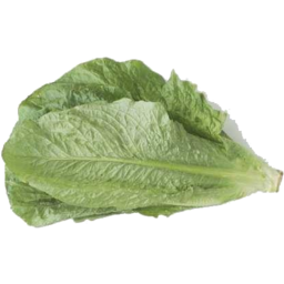 Photo of Box Lettuce Cos Large (Midi)