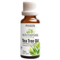 Photo of Tea Tree Oil