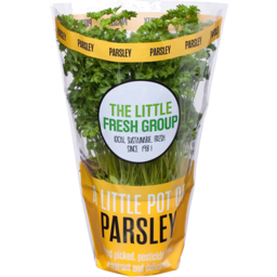 Photo of The Little Fresh Group Parsley Pot